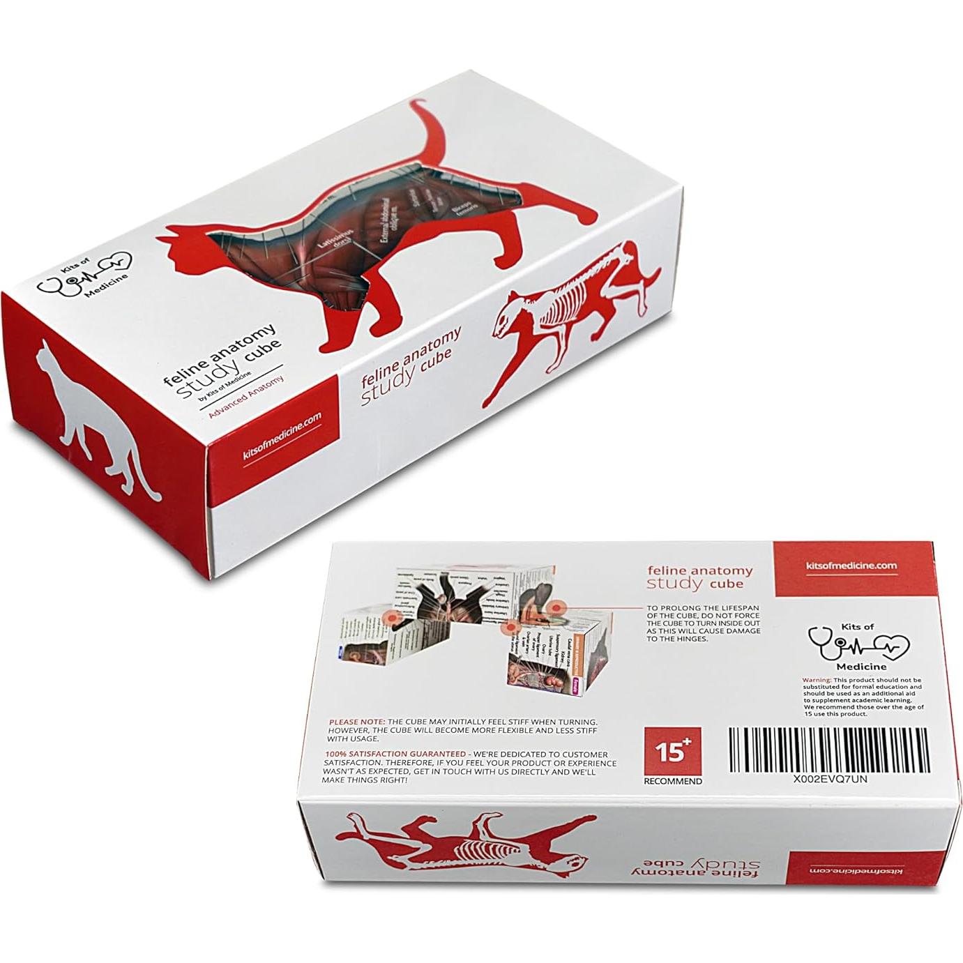 Cubo de Anatomía Felina 3D Kits de Medicina - Estudio Interactivo