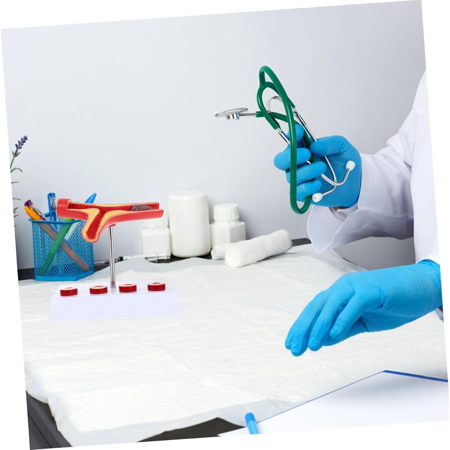 Modelo Anatómico Cardiovascular FELTECHELECTR 17.97x15.98 cm