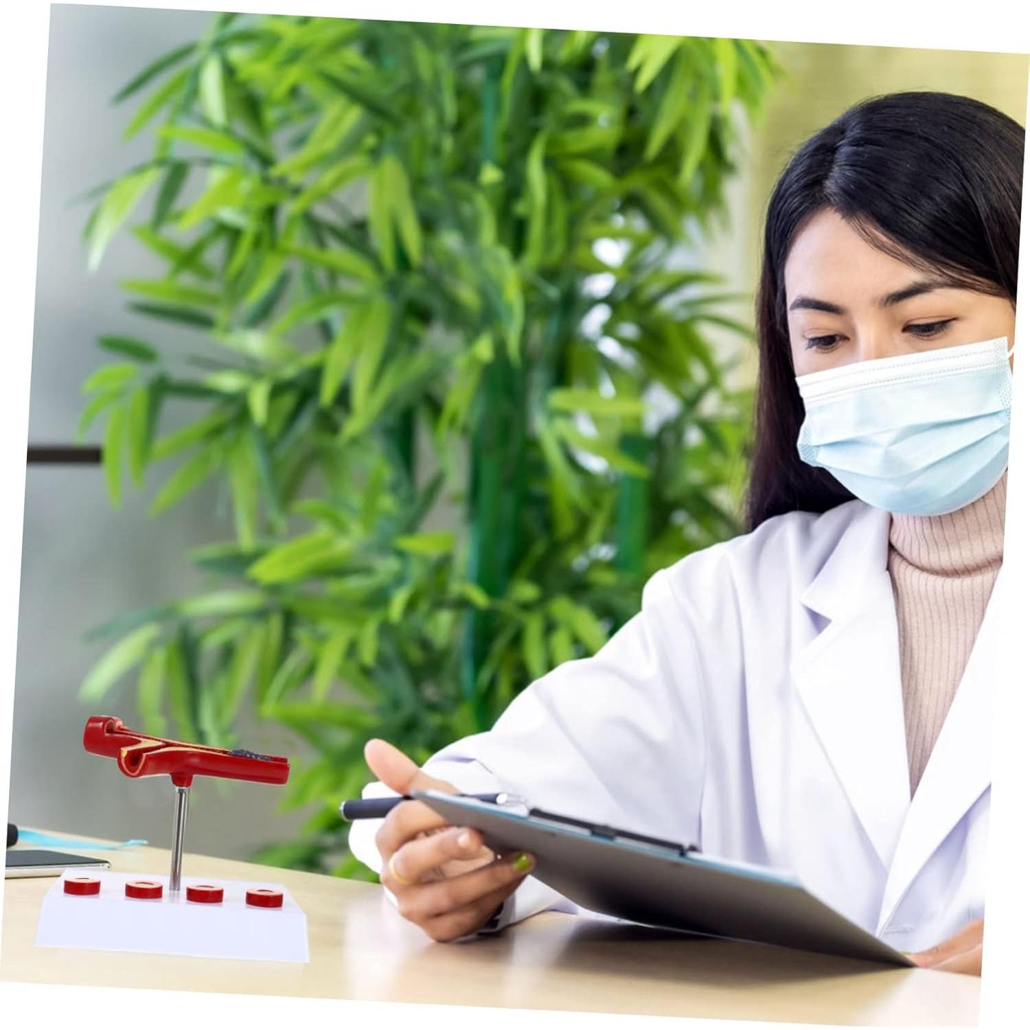 Modelo Anatómico Cardiovascular FELTECHELECTR 17.97x15.98 cm