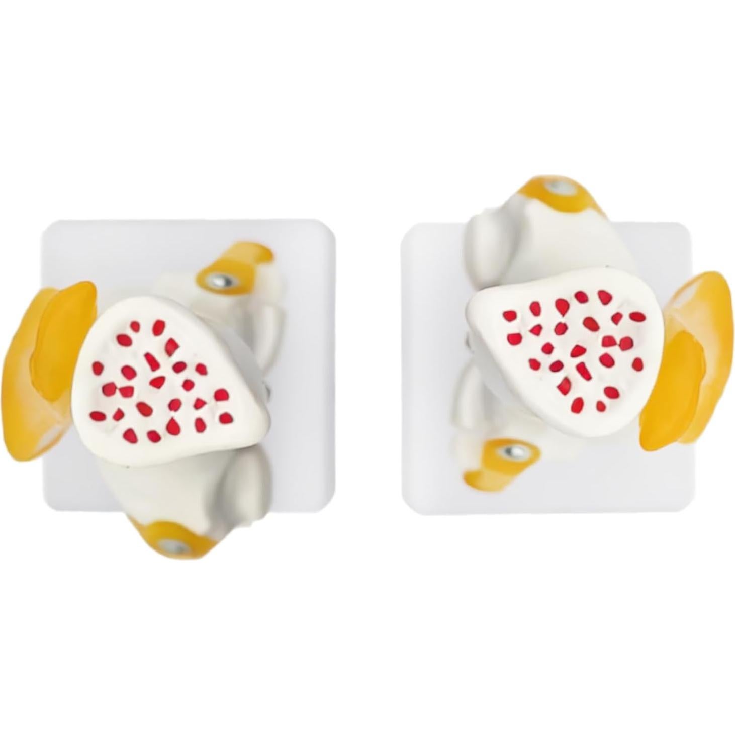 Modelo Anatómico de Rodilla Humana 1:1 con Ligamentos SHILAIYUNZ