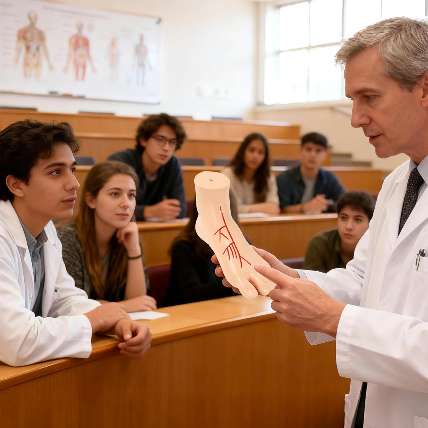 Modelo Anatómico de Pie Izquierdo Simedutech 1:1 con Sistema Arterial