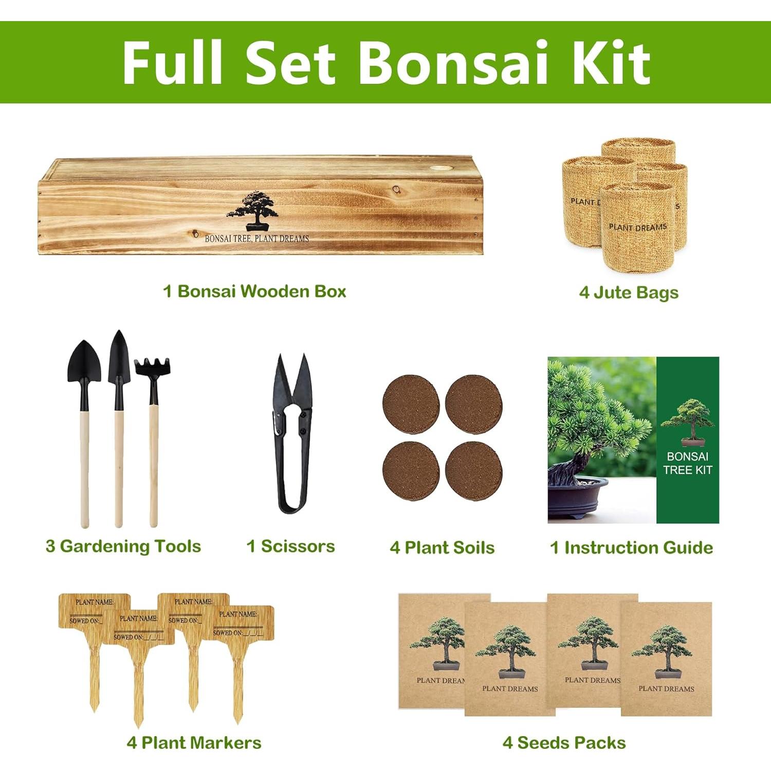 Kit de Bonsai Completo para Principiantes - 4 Semillas y Herramientas