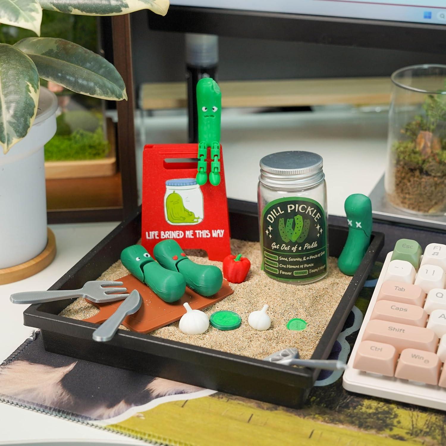 Jardín Zen Mini Pepinillo Tian Zhun con Arena para Escritorio