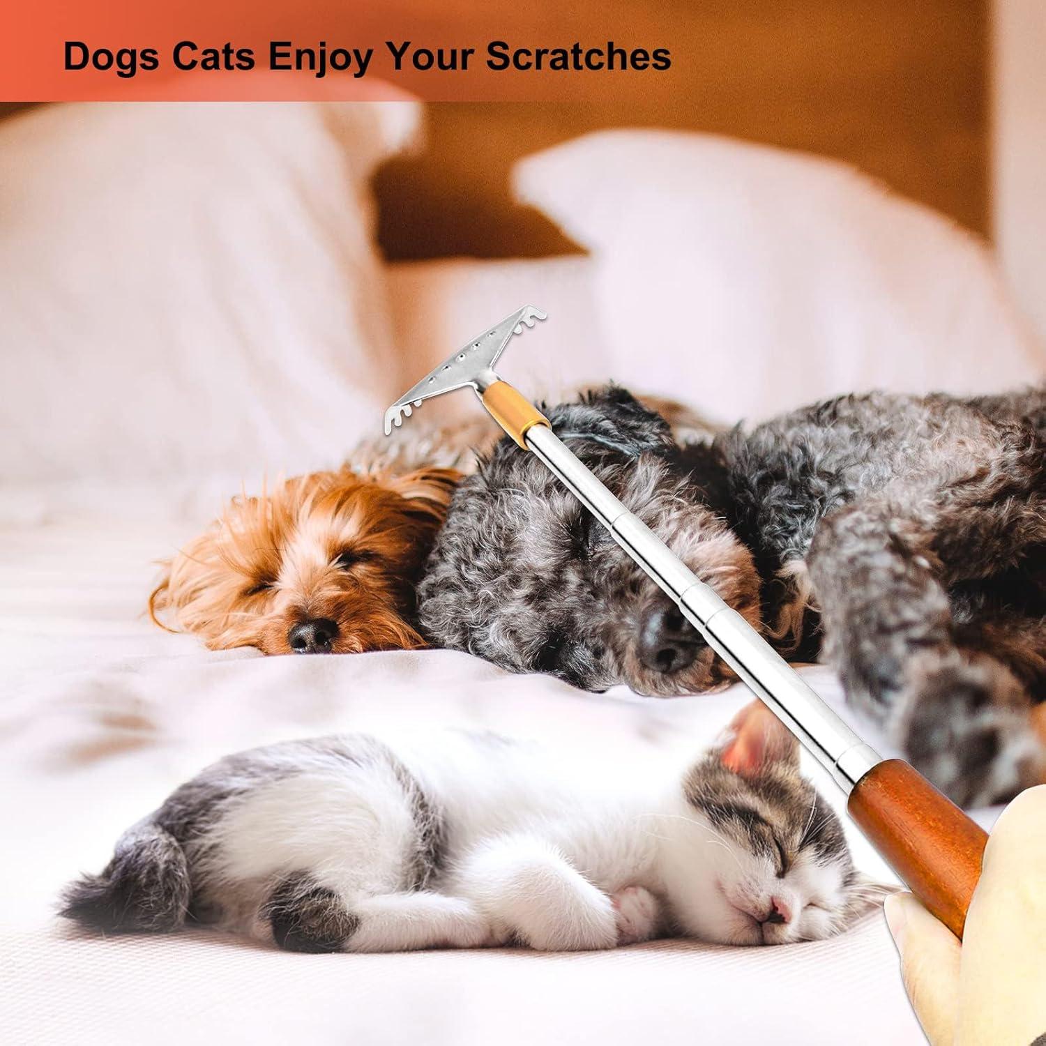 Rasca Espaldas Telescópico AITOUCH 51.5 cm Acero y Madera