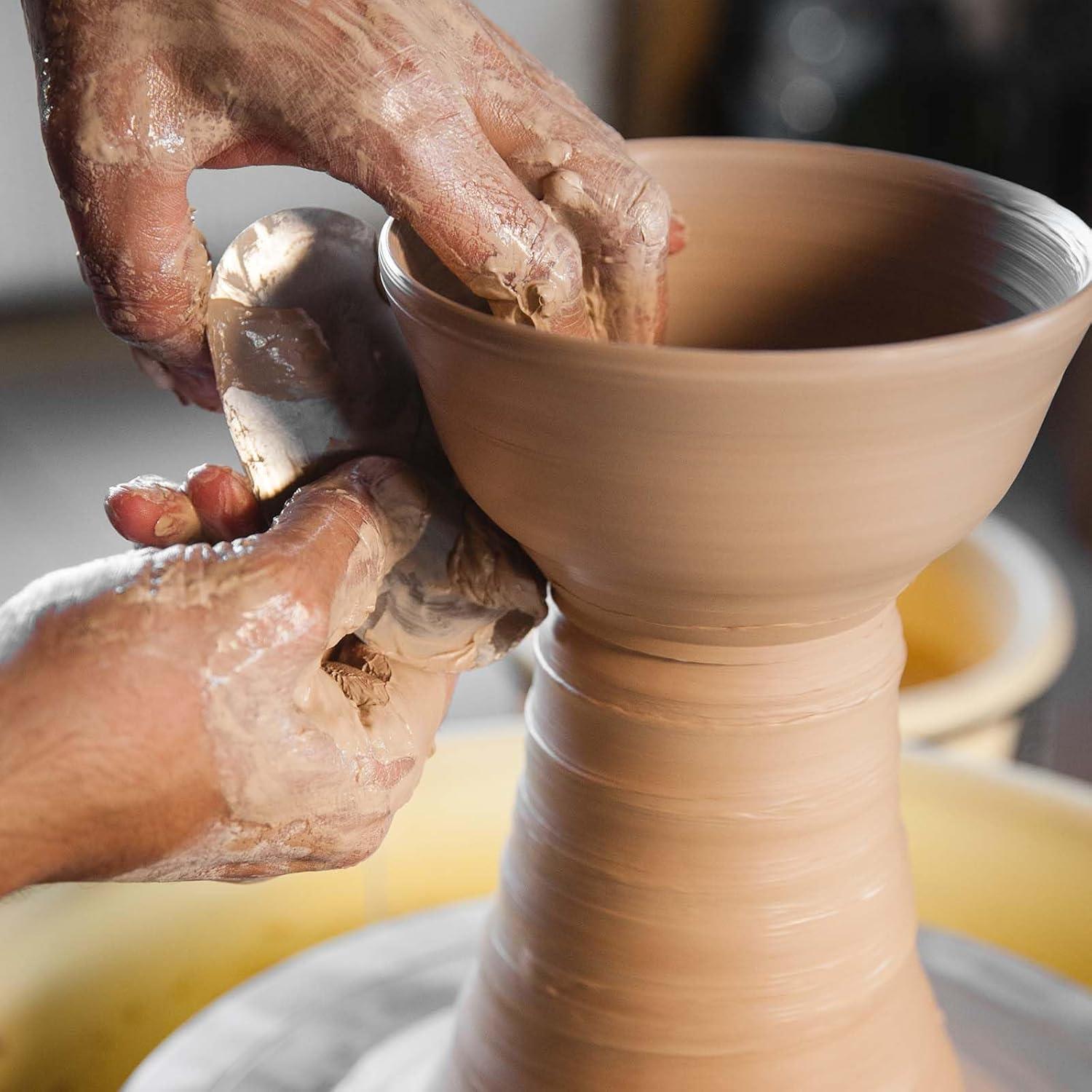 Juego de 10 Herramientas de Cerámica MOZEAT LENS Inoxidable