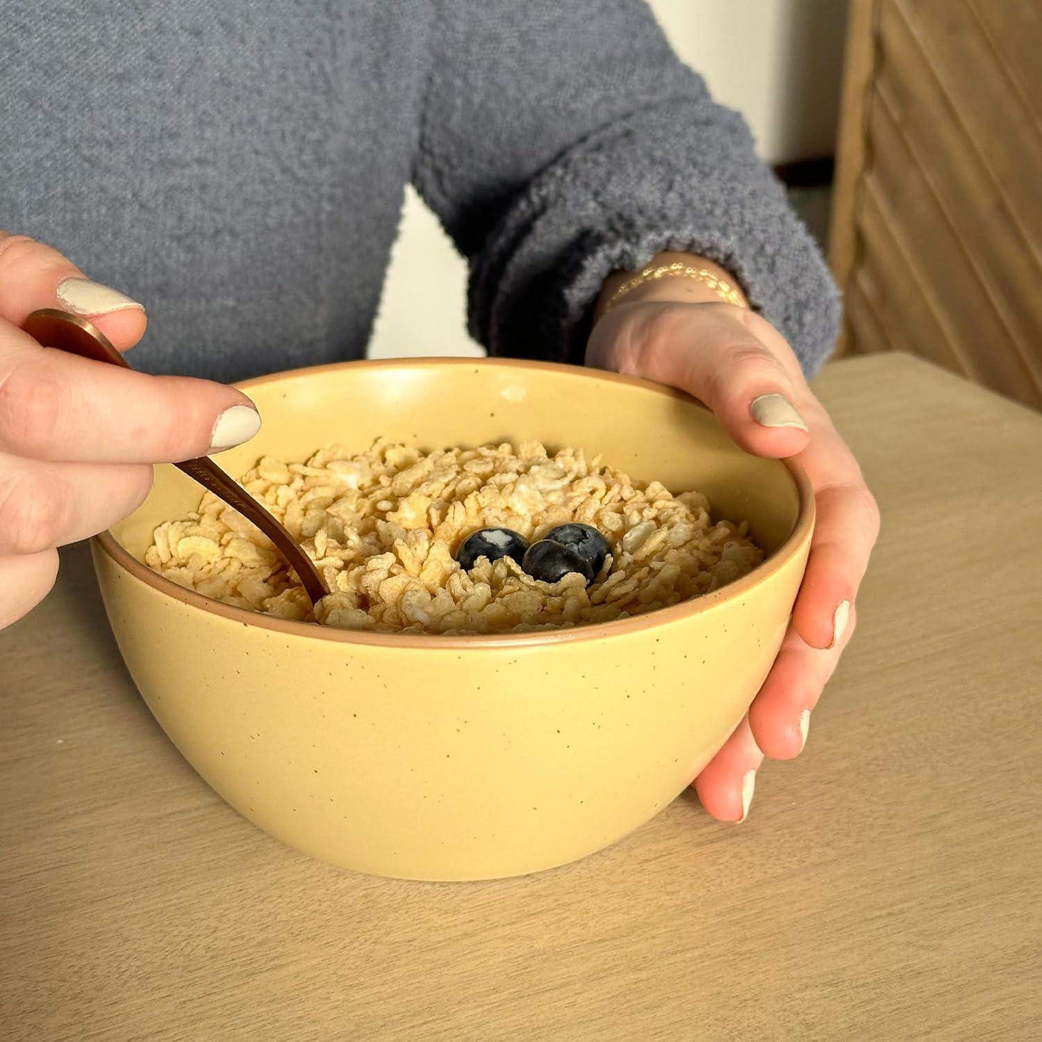 Juego de 4 Tazones de Cerámica Mora 28oz Colores Safari