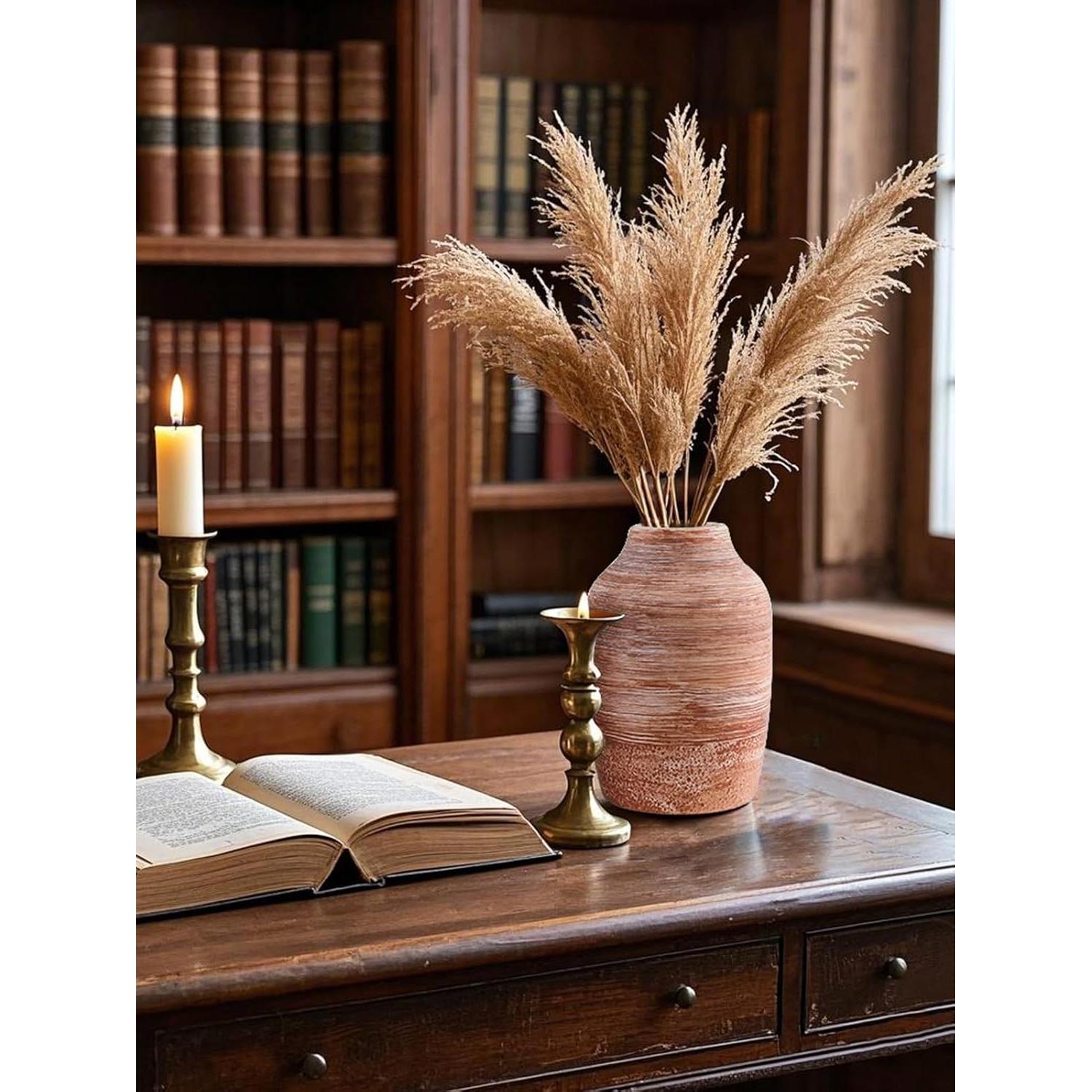 Juego de Jarrones Rústicos PURVONNIE Cerámica 2 Piezas