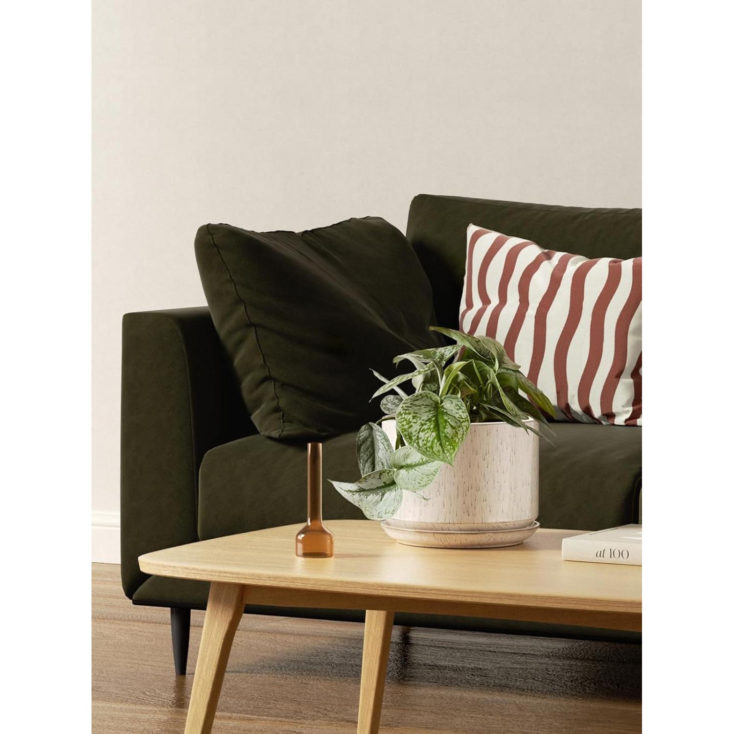 Macetas de Cerámica LE TAUCI Set de 3 con Drenaje Beige