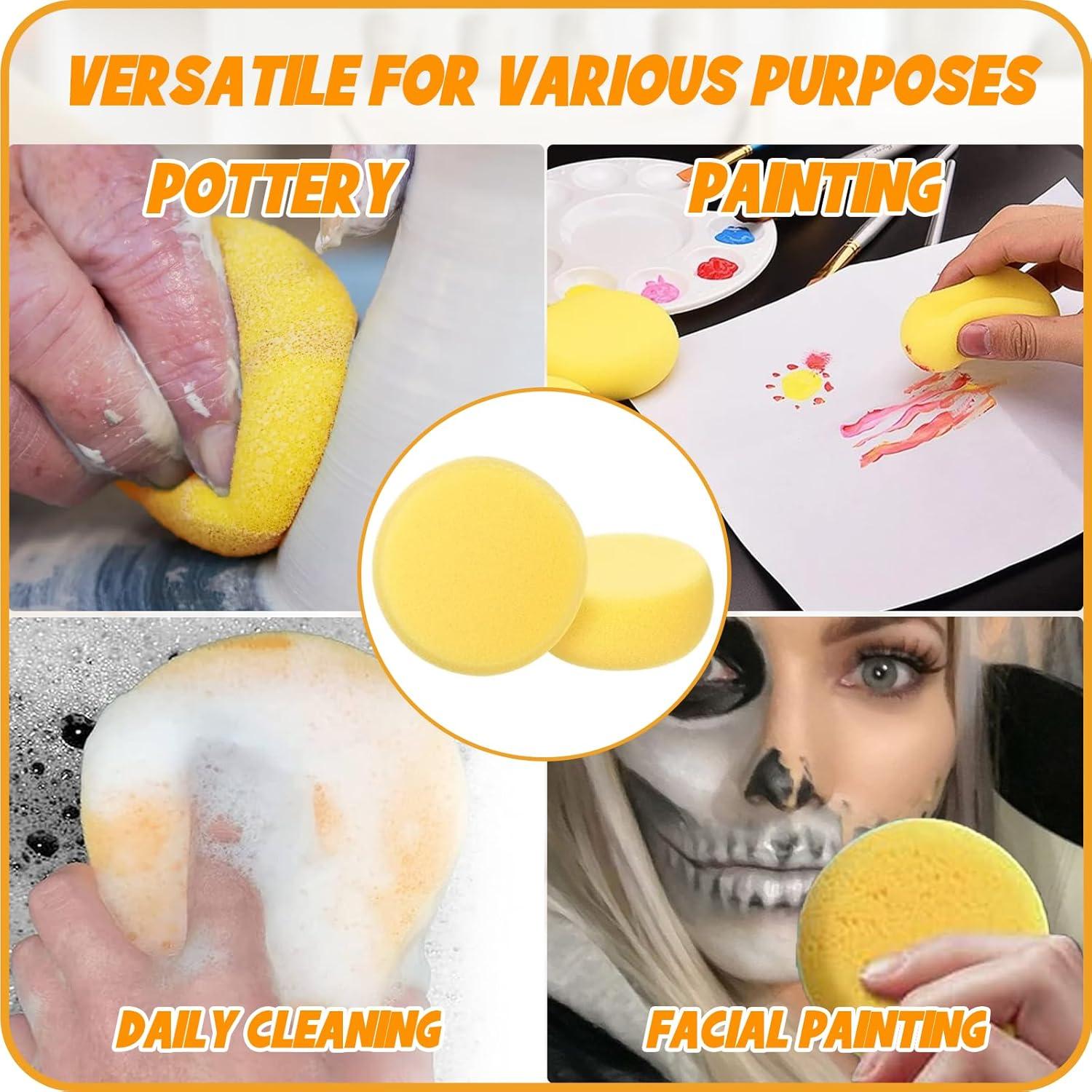 25 Pcs Esponjas de Cerámica Rokkuon para Pintura y Arcilla