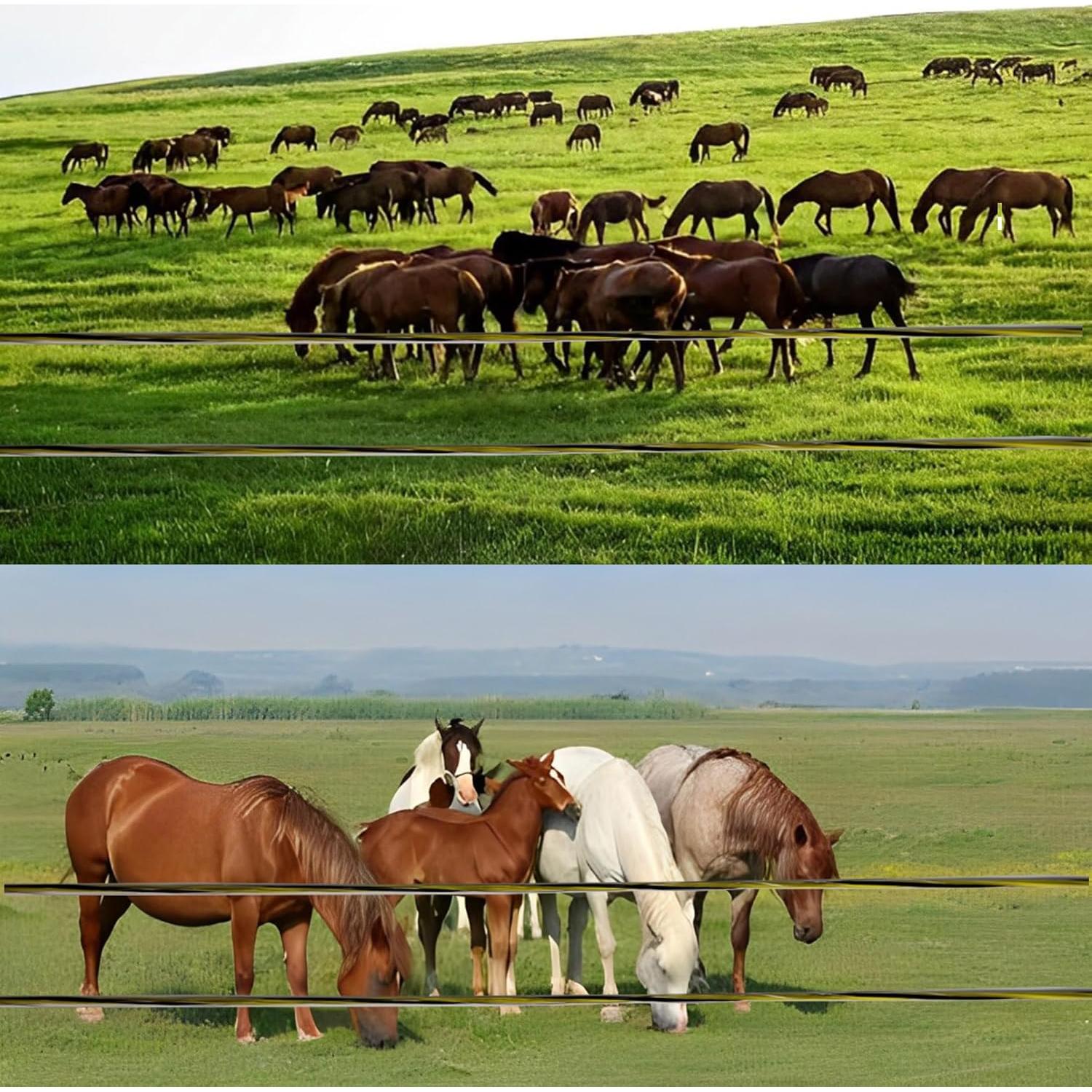 Cerca Eléctrica Portátil FAUMIERRY 500 Metros 6 Conductores