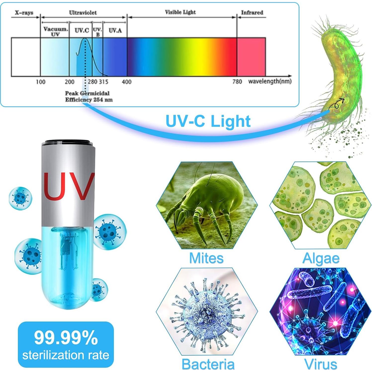 Luz Mini de Limpieza de Acuario TAISHAN 3W Verde Impermeable