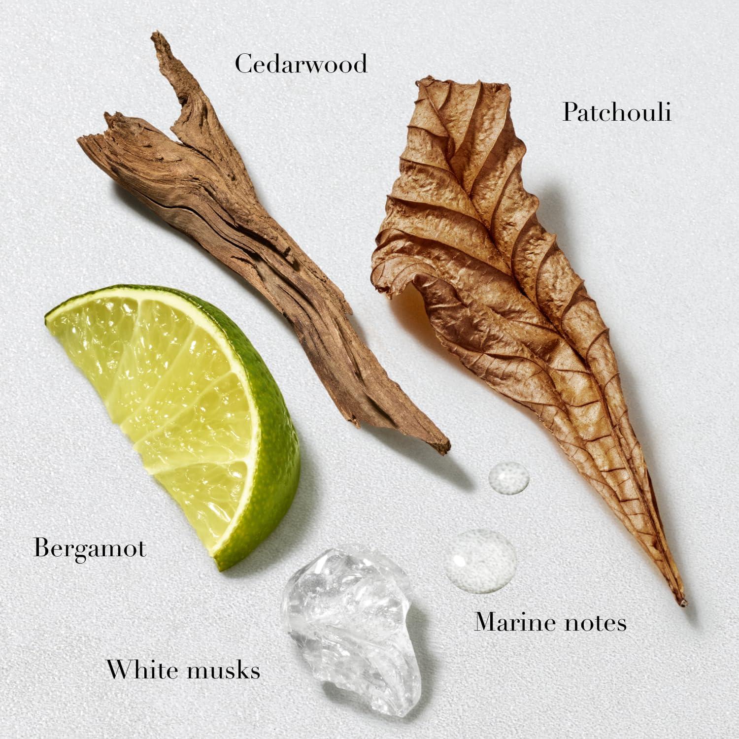 After Shave Armani Beauty Acqua di Gio 97.6 ml Fragancia Hombre