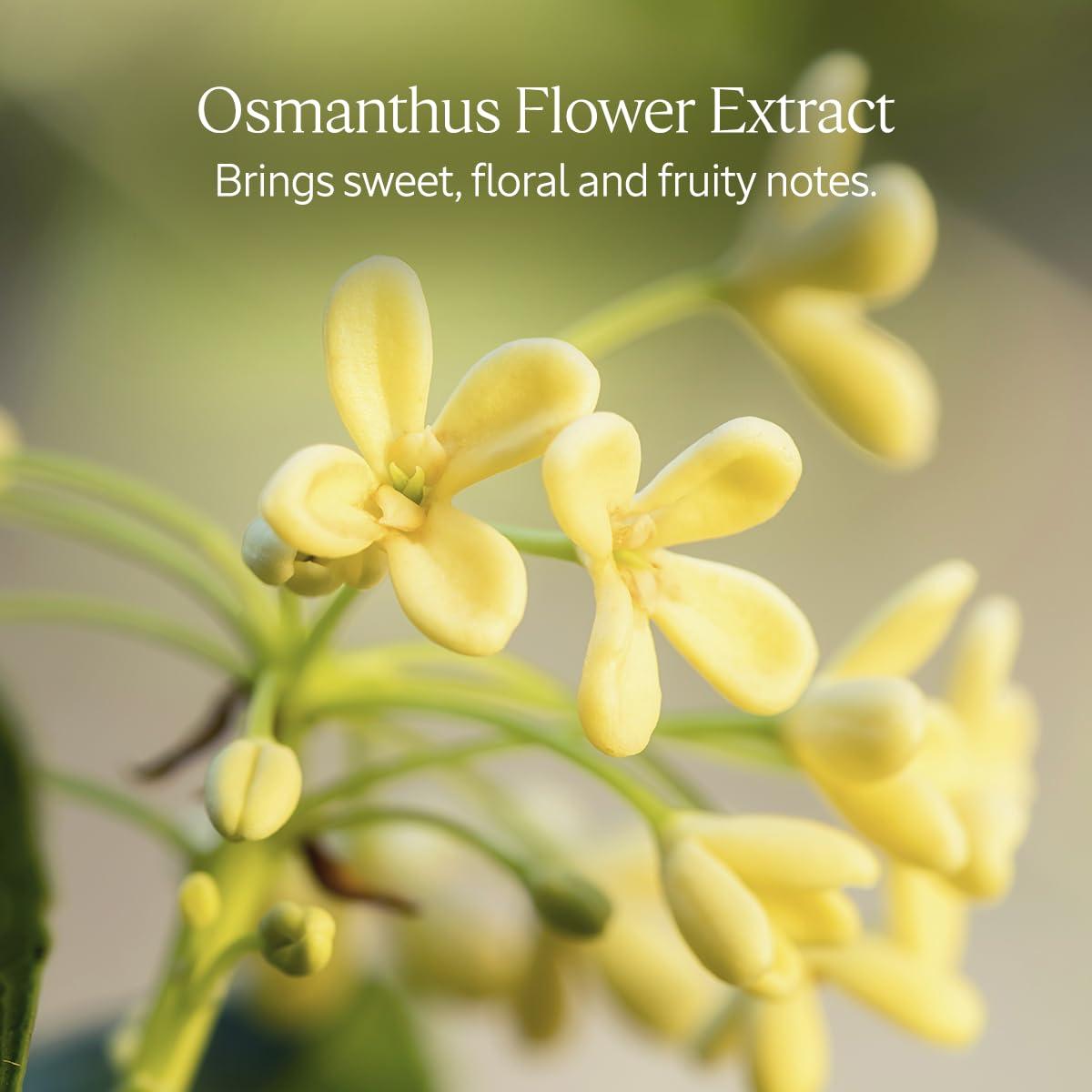 Jabón Sólido Perfumado Osmanthus L'OCCITANE 48g