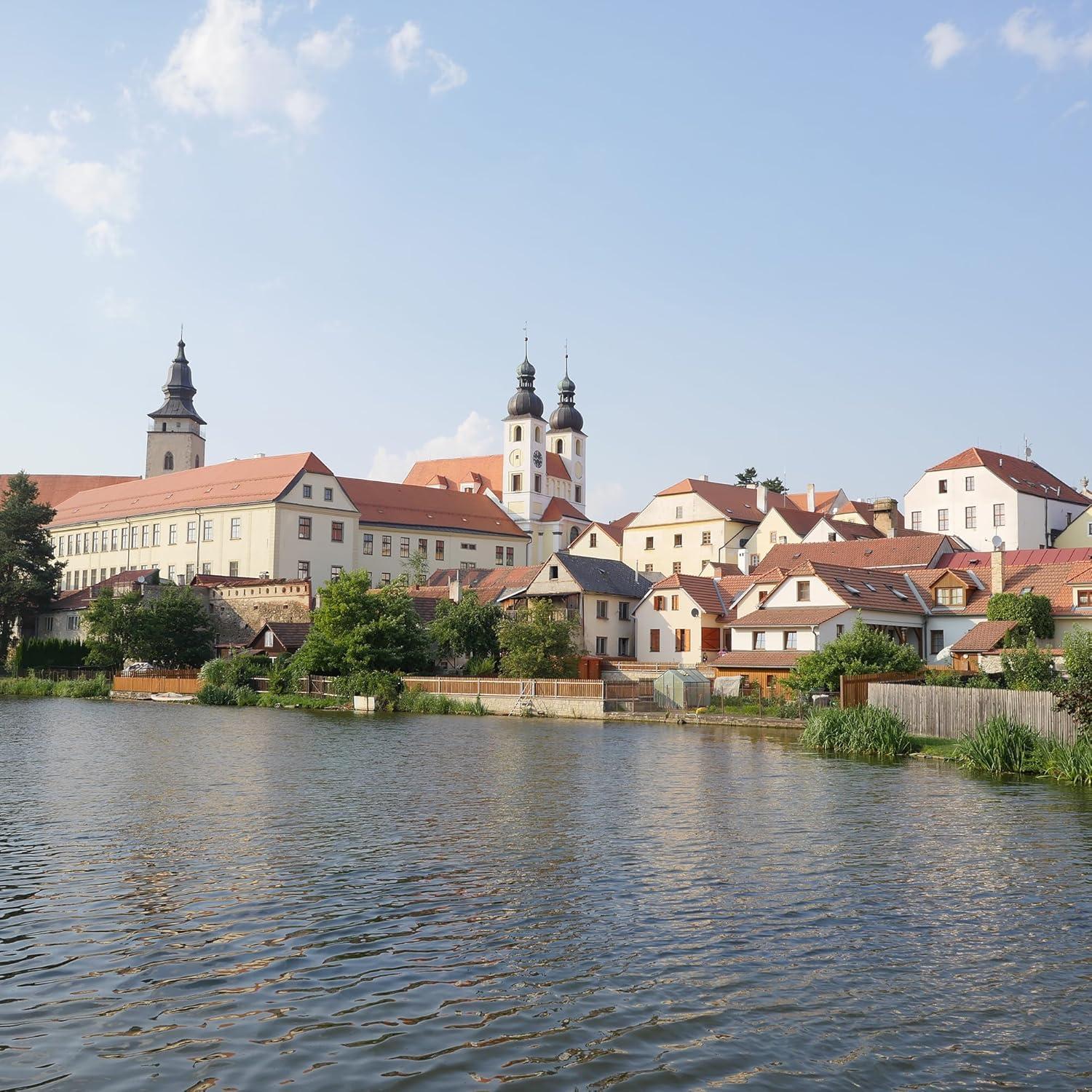 Lente Panasonic Leica H-X015E 15mm f/1.7 Negro