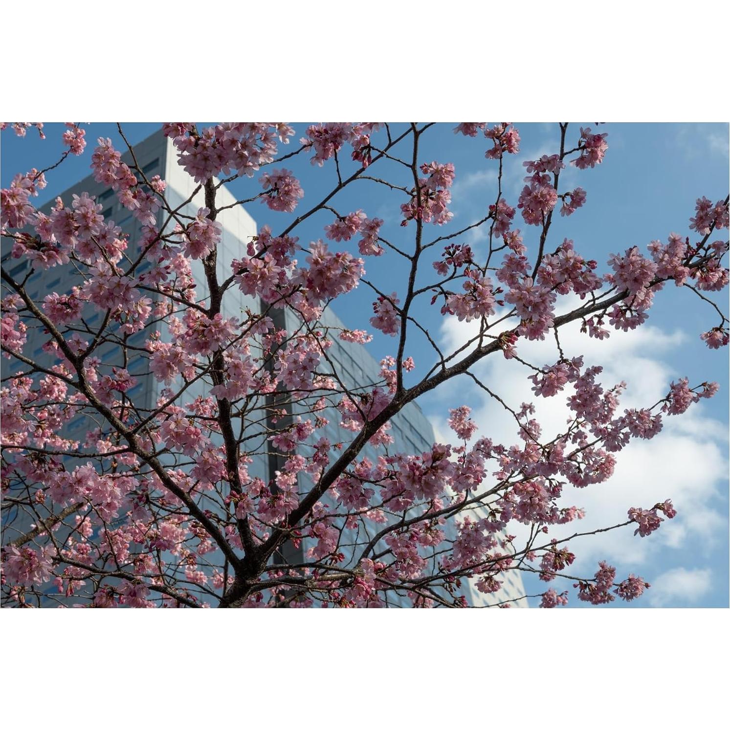 Lente Sigma 30mm F1.4 DC DN para Nikon Z - Renovado