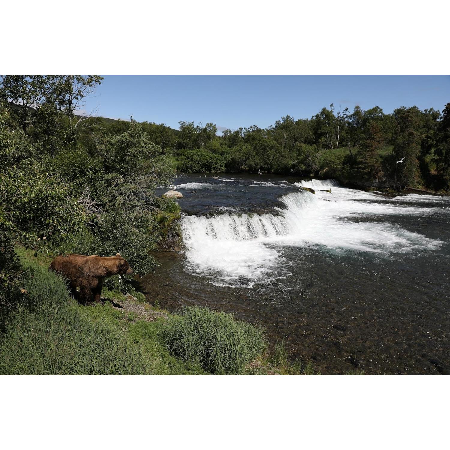 Lente Canon EF 24-105mm F4L IS II USM - Estabilizador de Imagen