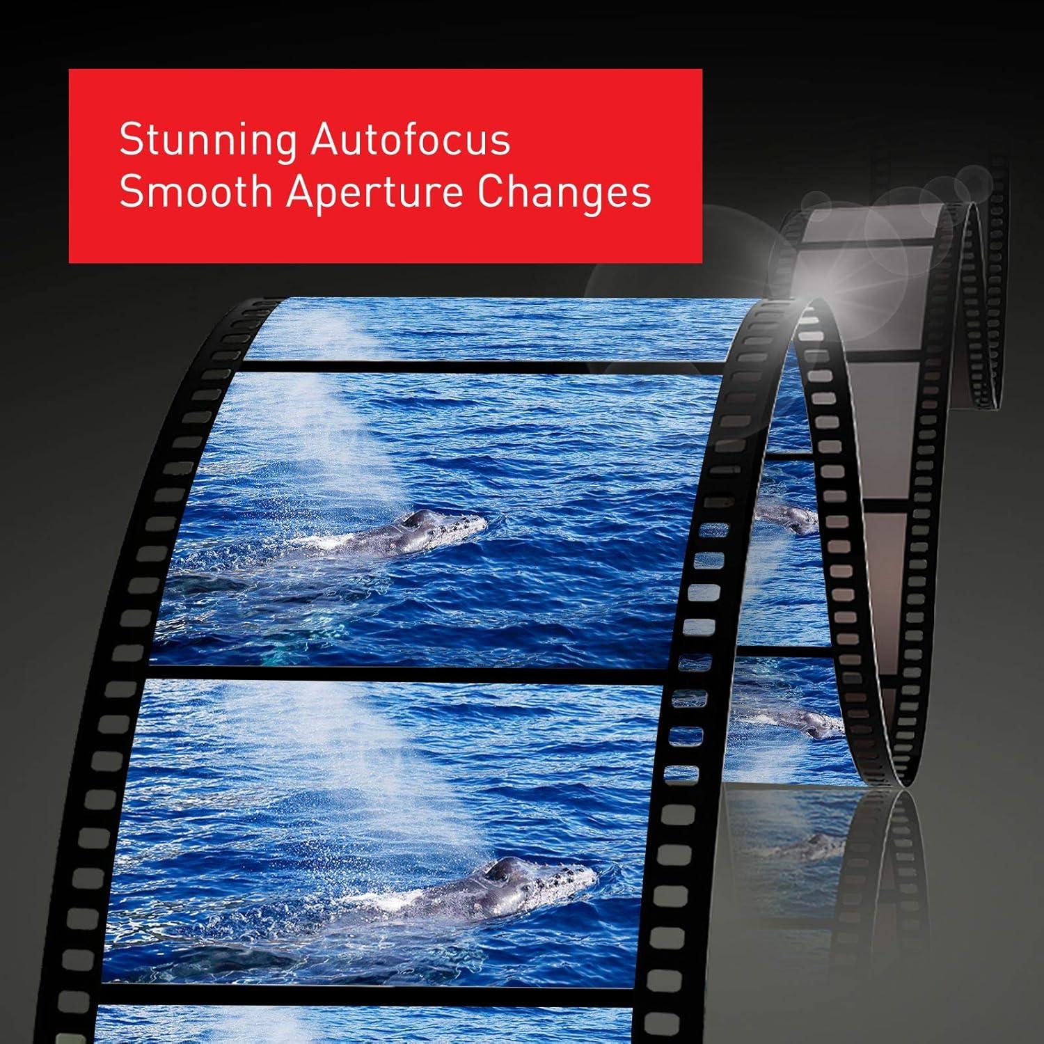 Objetivo Gran Angular Panasonic LUMIX S Pro 16-35mm F4