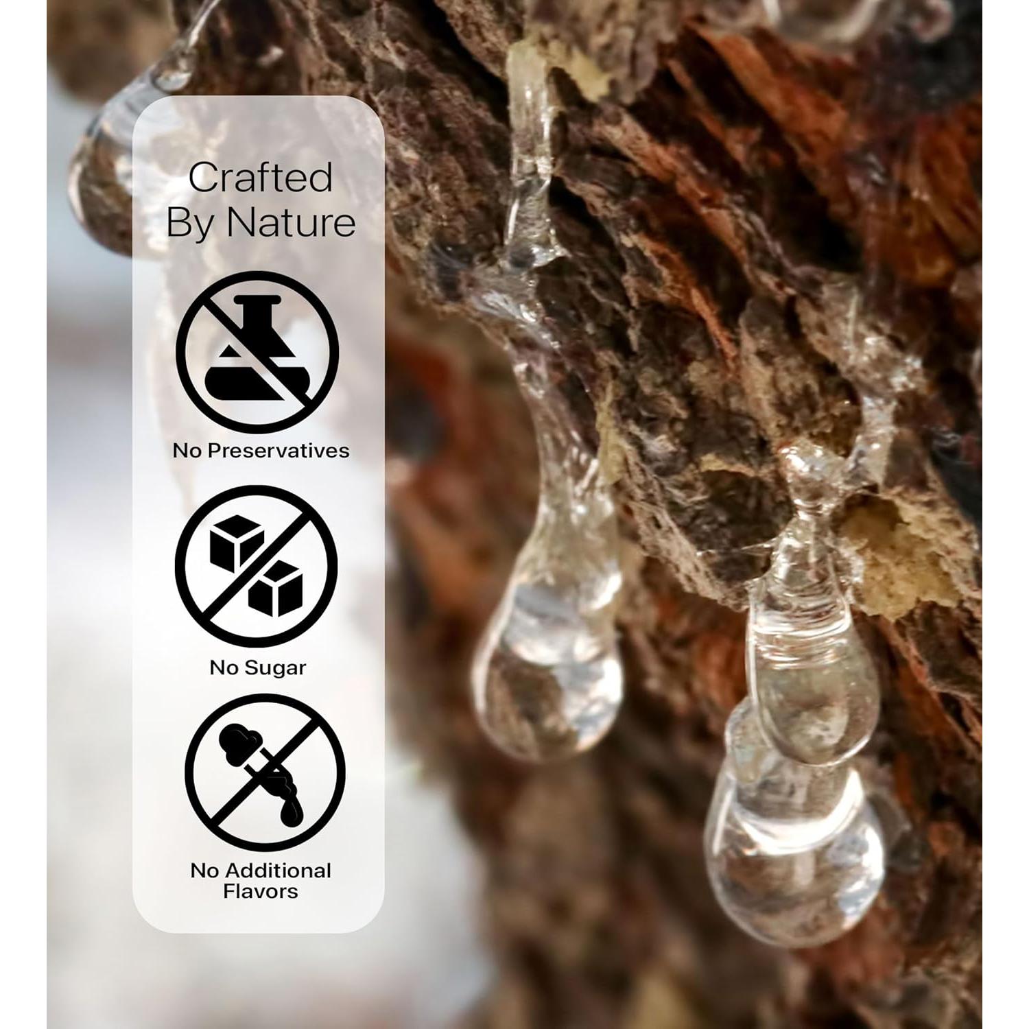 Goma Mastic Natural Cerez Pazari 25 g Vegana Sin Azúcar