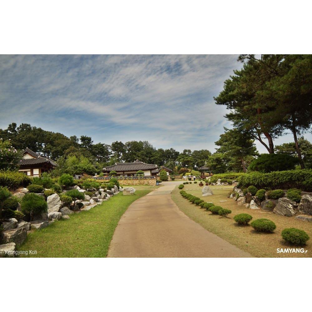 Lente Samyang 14mm T3.1 VDSLR II para Cámara Sony E-Mount