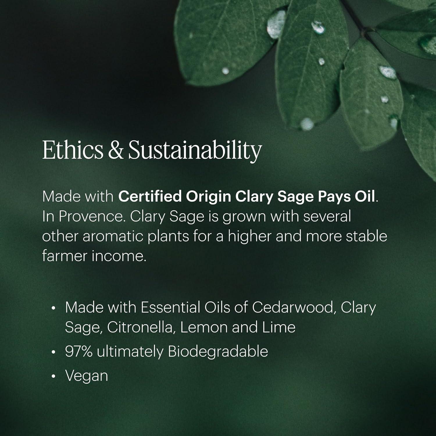 Aera Mini Aceite Esencial Cítricos y Salvia - Recarga 59g