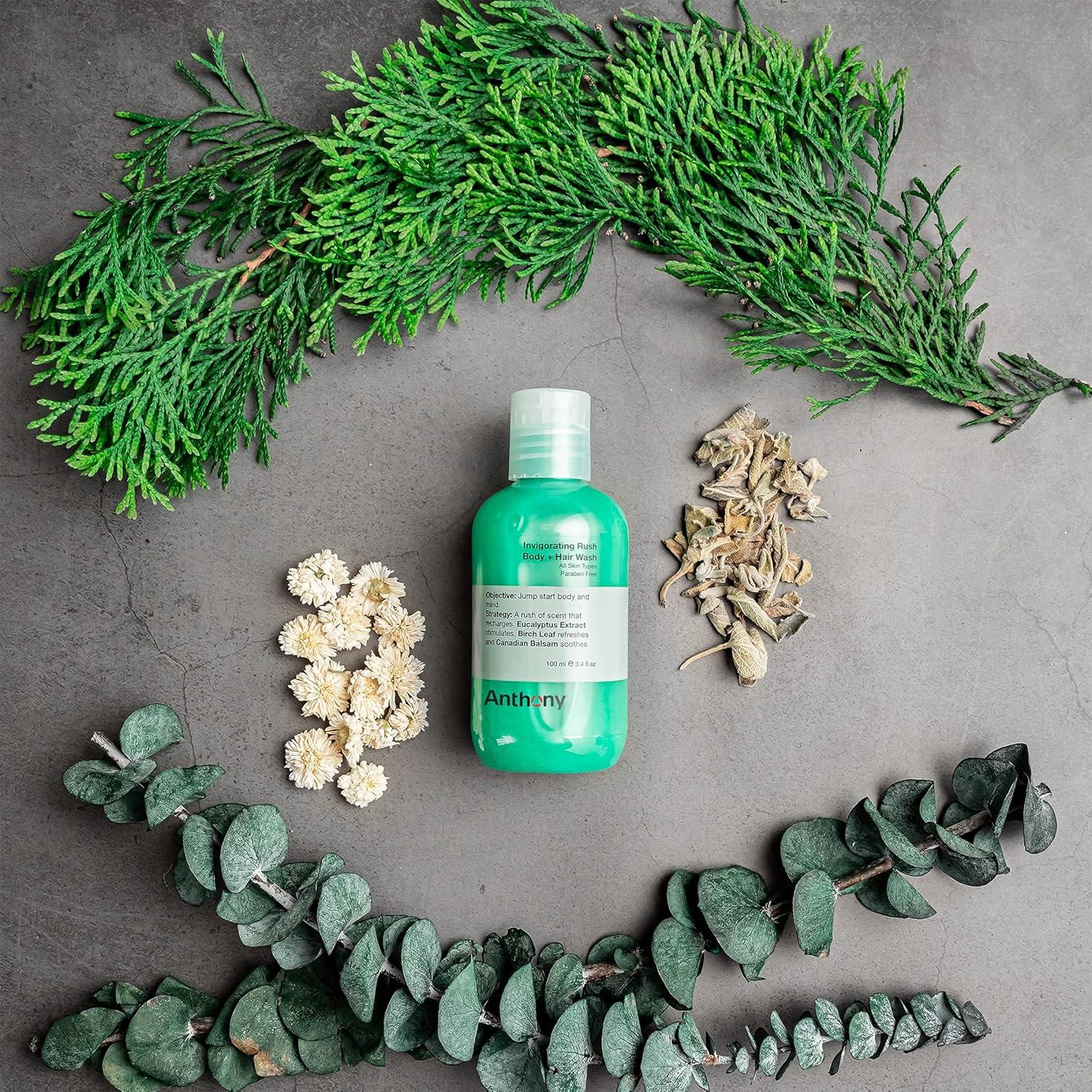 Gel de Ducha y Champú Anthony 2 en 1 100 ml Aroma Madera de Pino