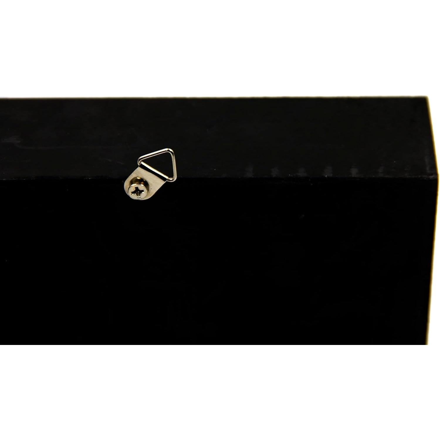 Escarabajo Real de 5 Cuernos TAXIBUGS en Caja de Madera Negra