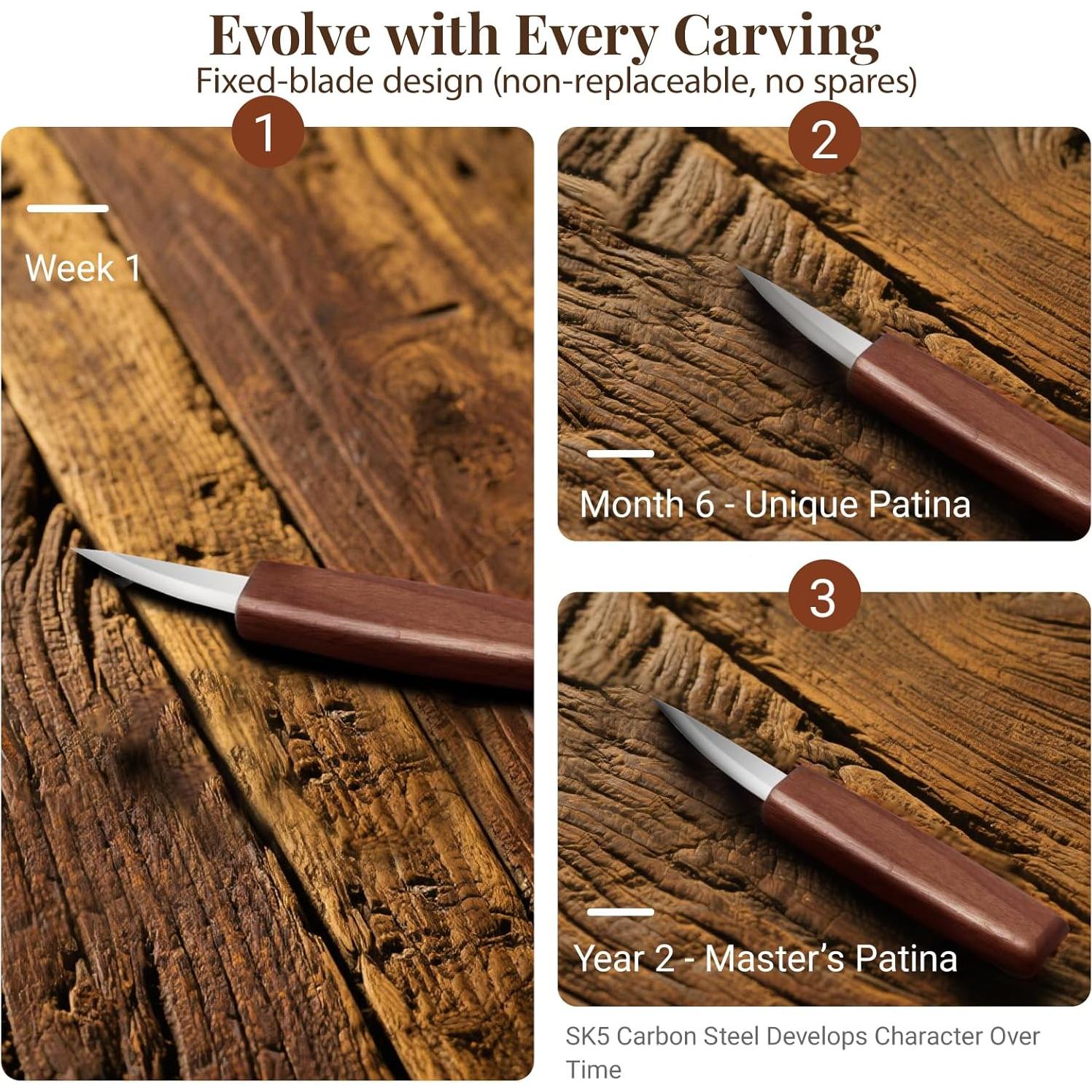 Kit de Tallado en Madera COZYGIFT 31 Piezas con Bloques