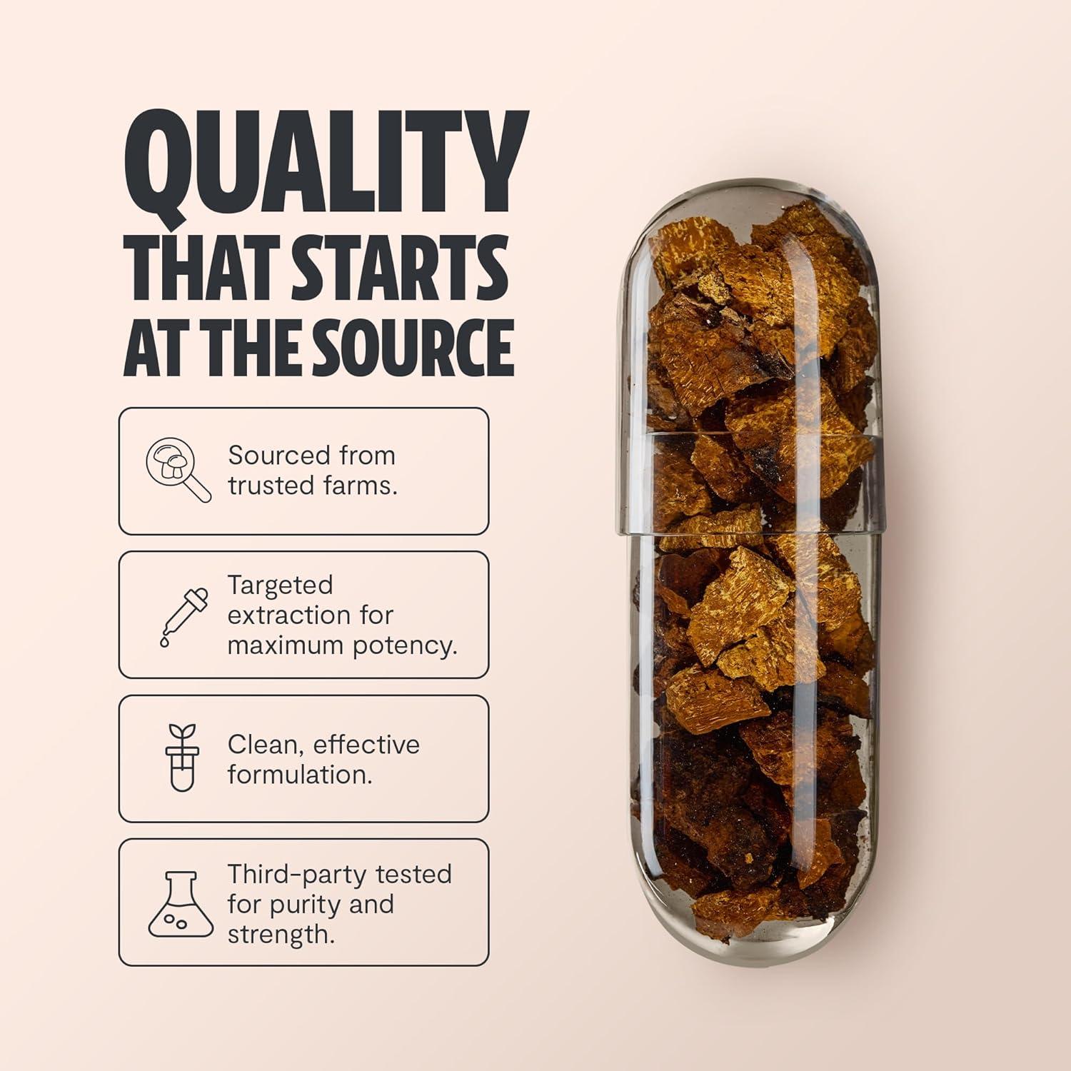 Cápsulas de Hongos Chaga FreshCap 14,000mg - 120 Cápsulas