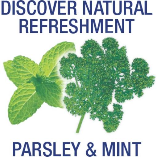 Cápsulas Frescura Aliento Kobayashi 50 Unidades 8 Horas