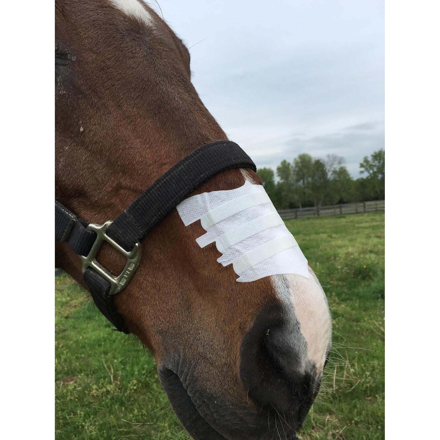 Tiras Nasales Equinas FLAIR para Caballos - Mejora Respiración