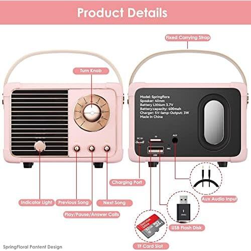 Altavoz Bluetooth SpringFlora Retro Rosa 3W Compacto