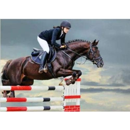 Cronómetro de Salto Ecuestre ArenaGear RM-510 Inalámbrico