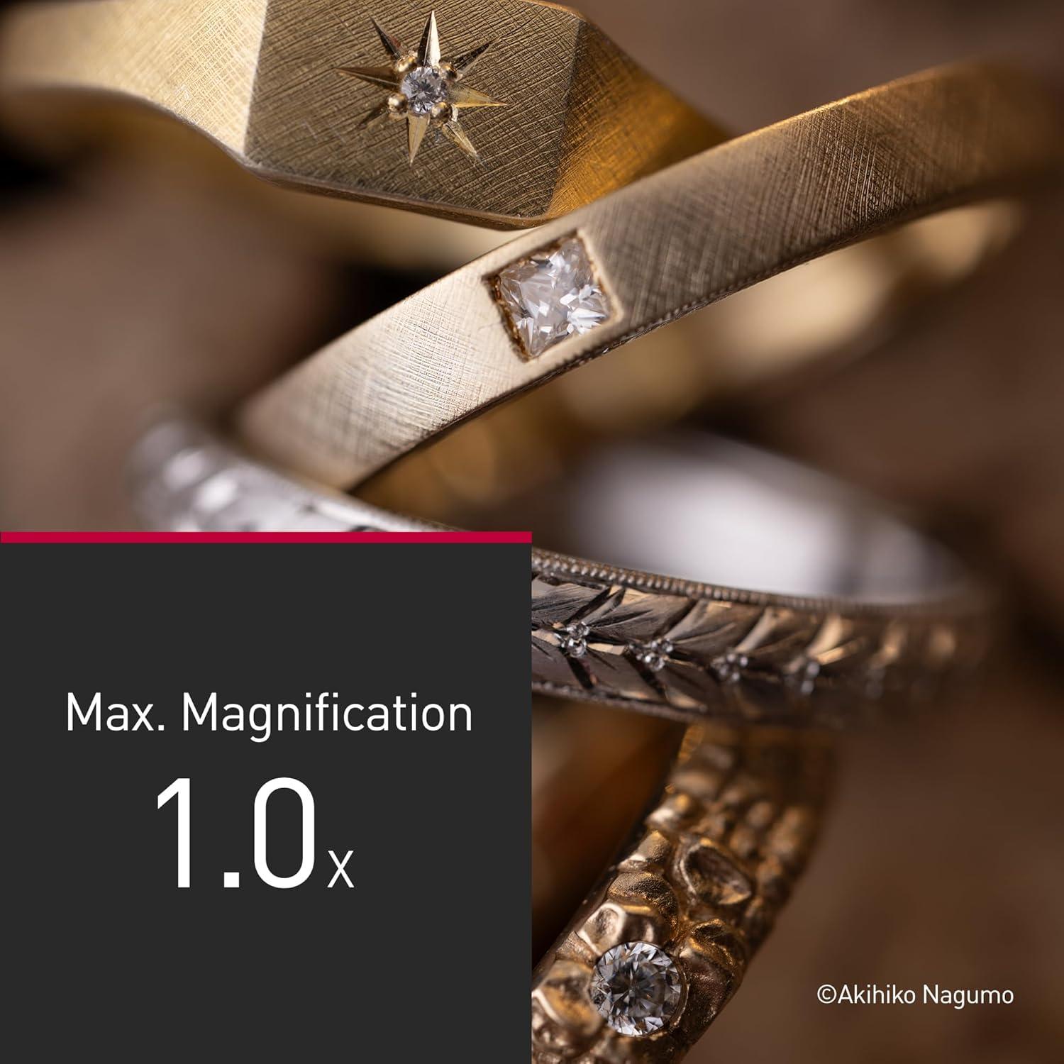 Lente Macro Panasonic LUMIX S-E100J 100mm F2.8 Full Frame