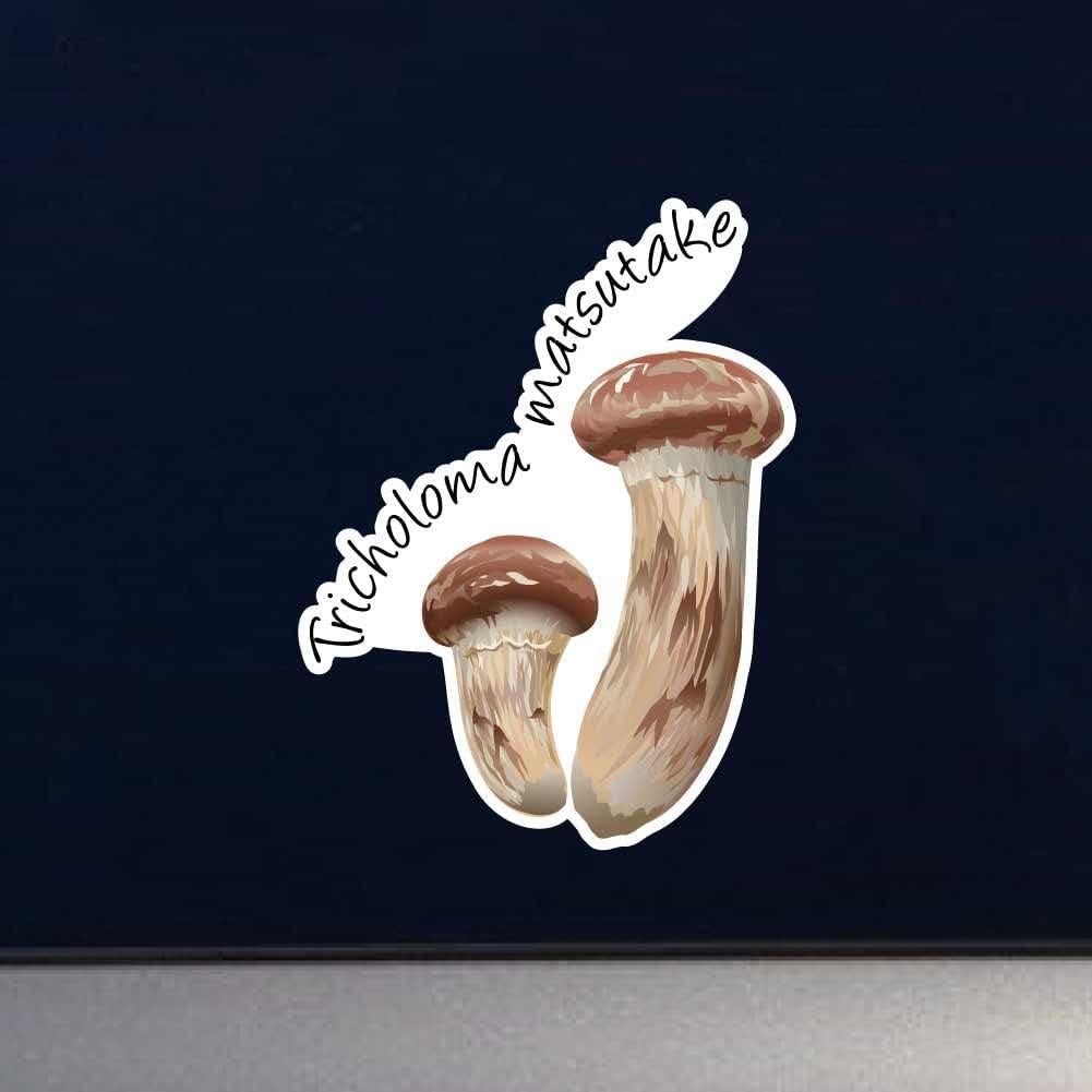 Vinilo Decorativo Hongo Tricholoma Matsutake 20 cm Dark Spark