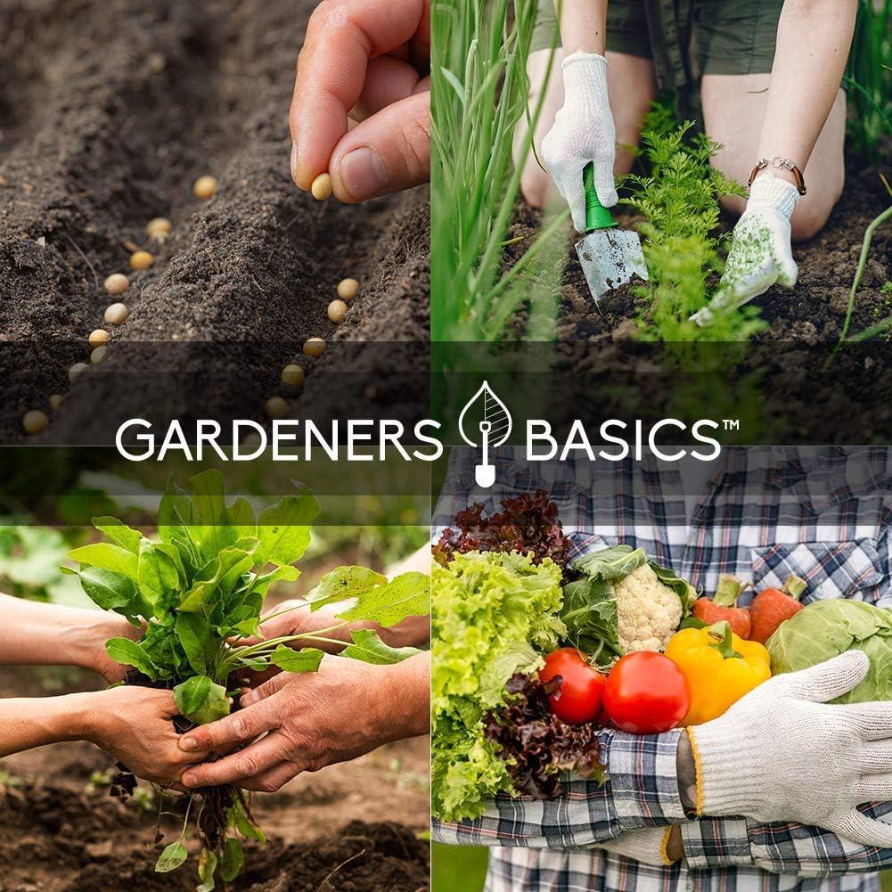 Kit de Jardinería Gardeners Basics con 16,000 Semillas No-OGM