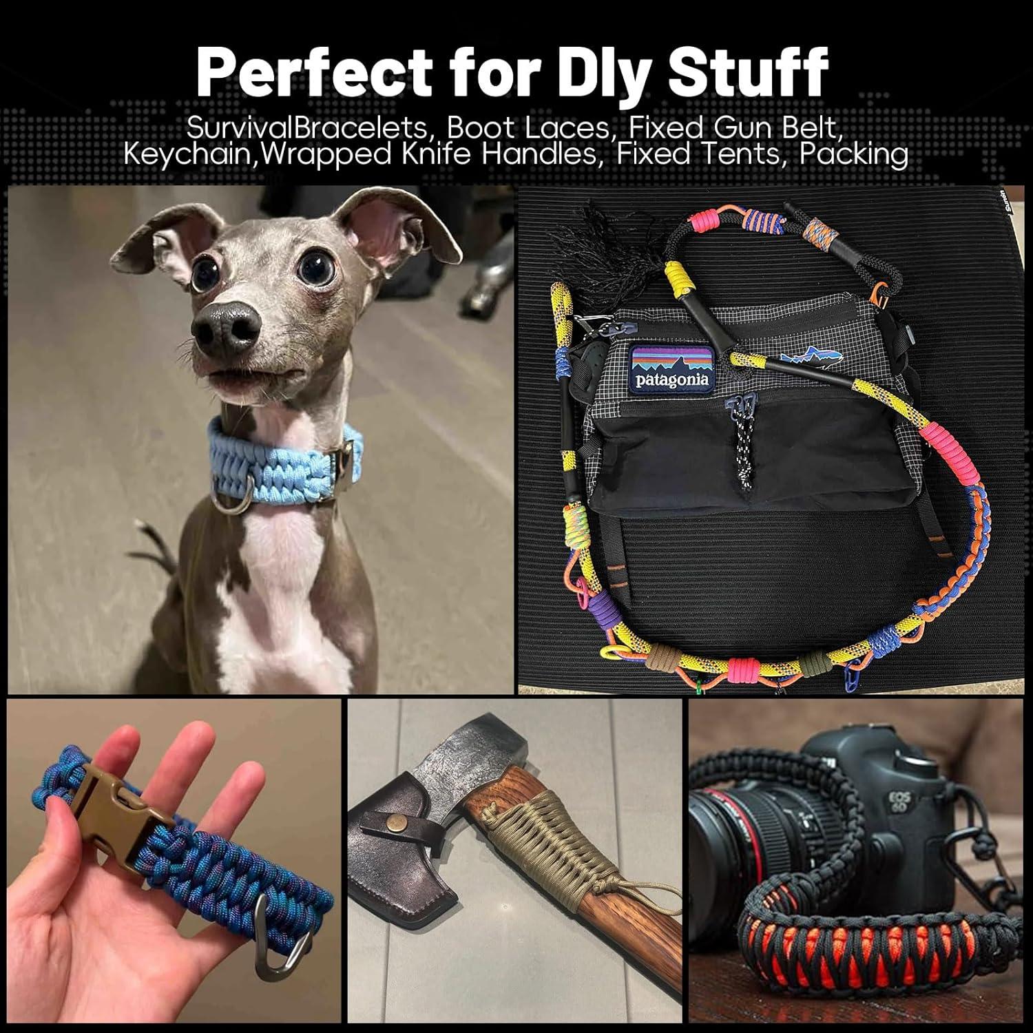 Paracord 550 Rope 100 Feet 5/32 Inch 7 Strand Type III Nylon Rope Parachute Cord for Survival Gear, Hiking, Camping, and Outdoor Use