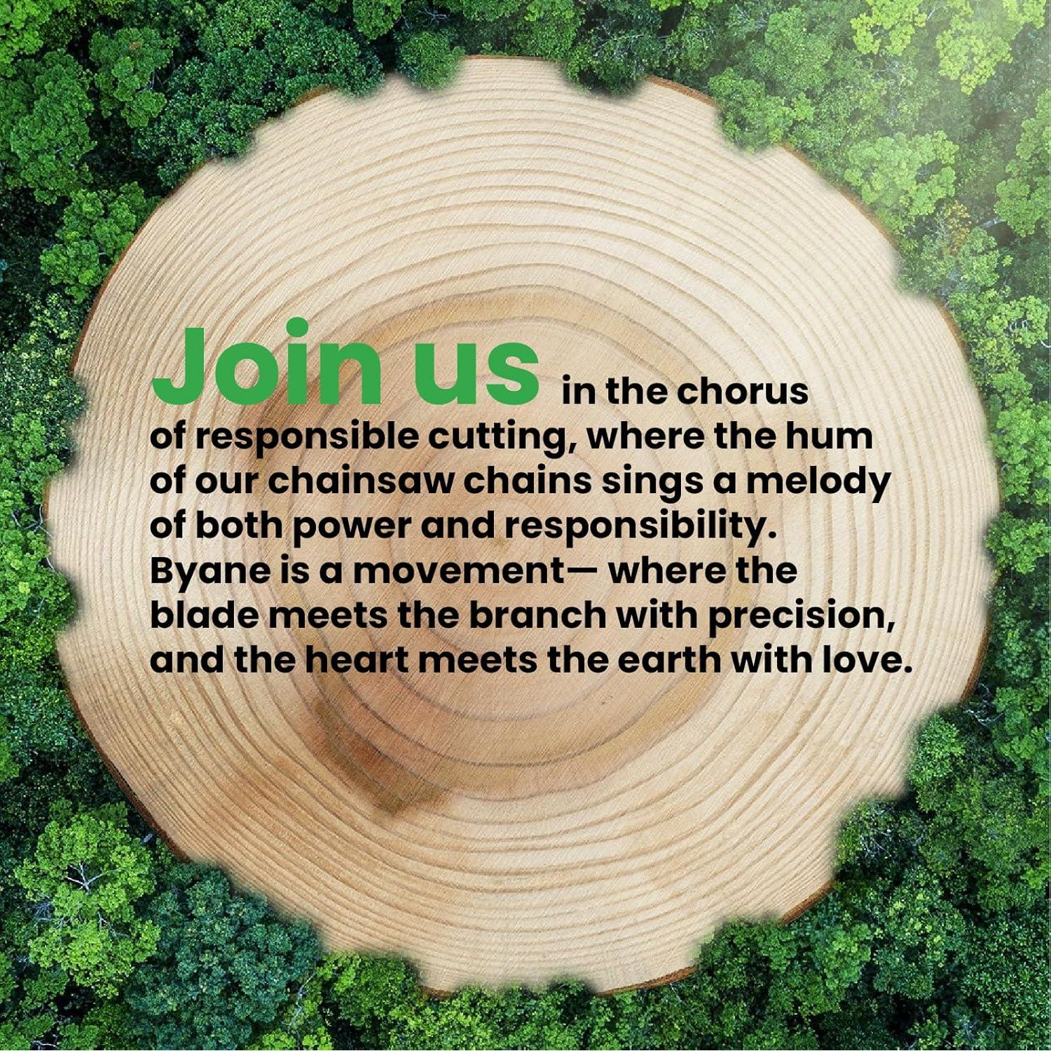 Cadena de Motosierra BYANE 25.4 cm 3/8 LP Pitch 40 Enlaces