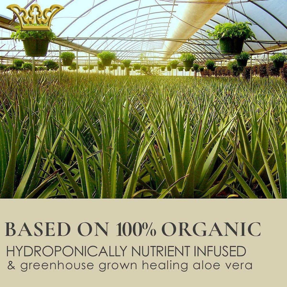 Suero Rejuvenecedor GUNILLA 30 ml Hidratante Antiarrugas