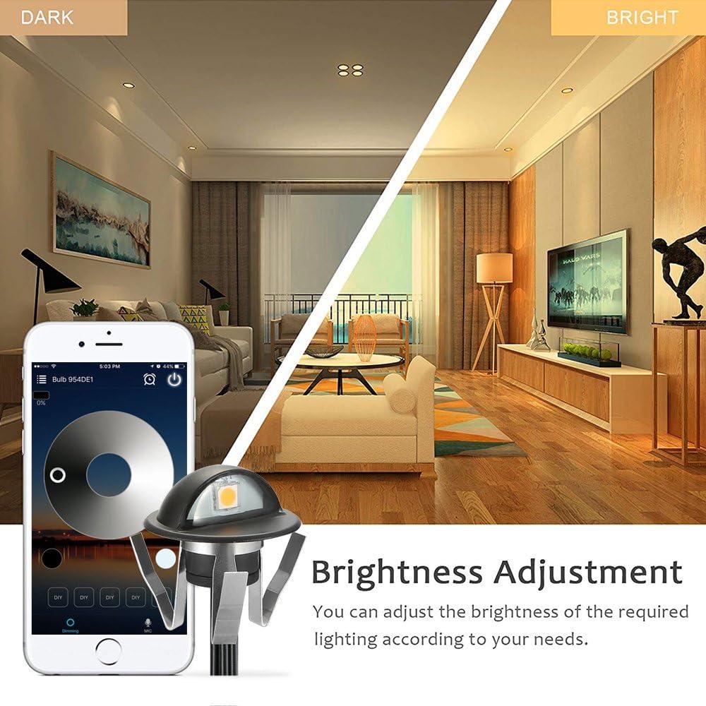 FVTLED Luces LED Empotradas 20pcs 12V Control WiFi Negro