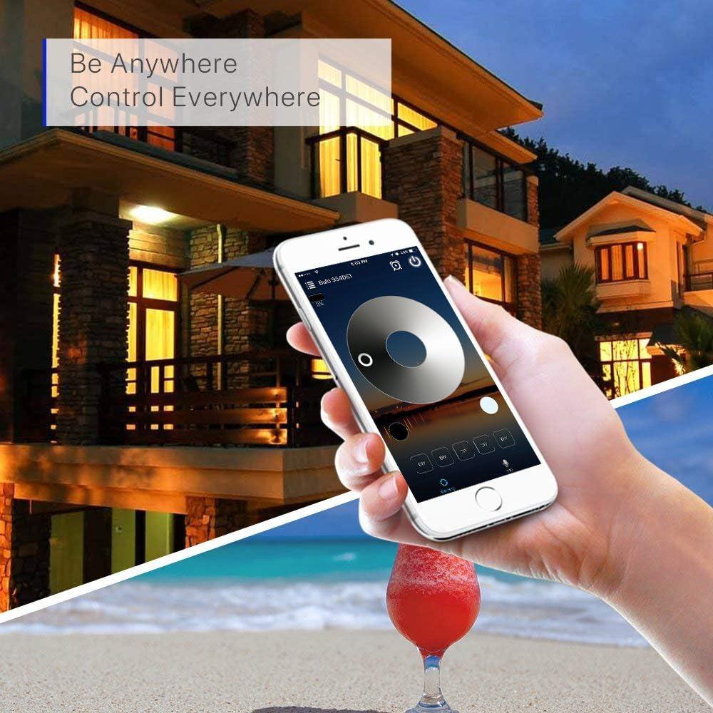 FVTLED Luces LED Empotradas 20pcs 12V Control WiFi Negro