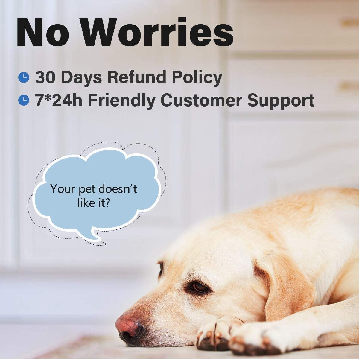 Probador de Batería TOPDON BT100 12V para Autos y Barcos