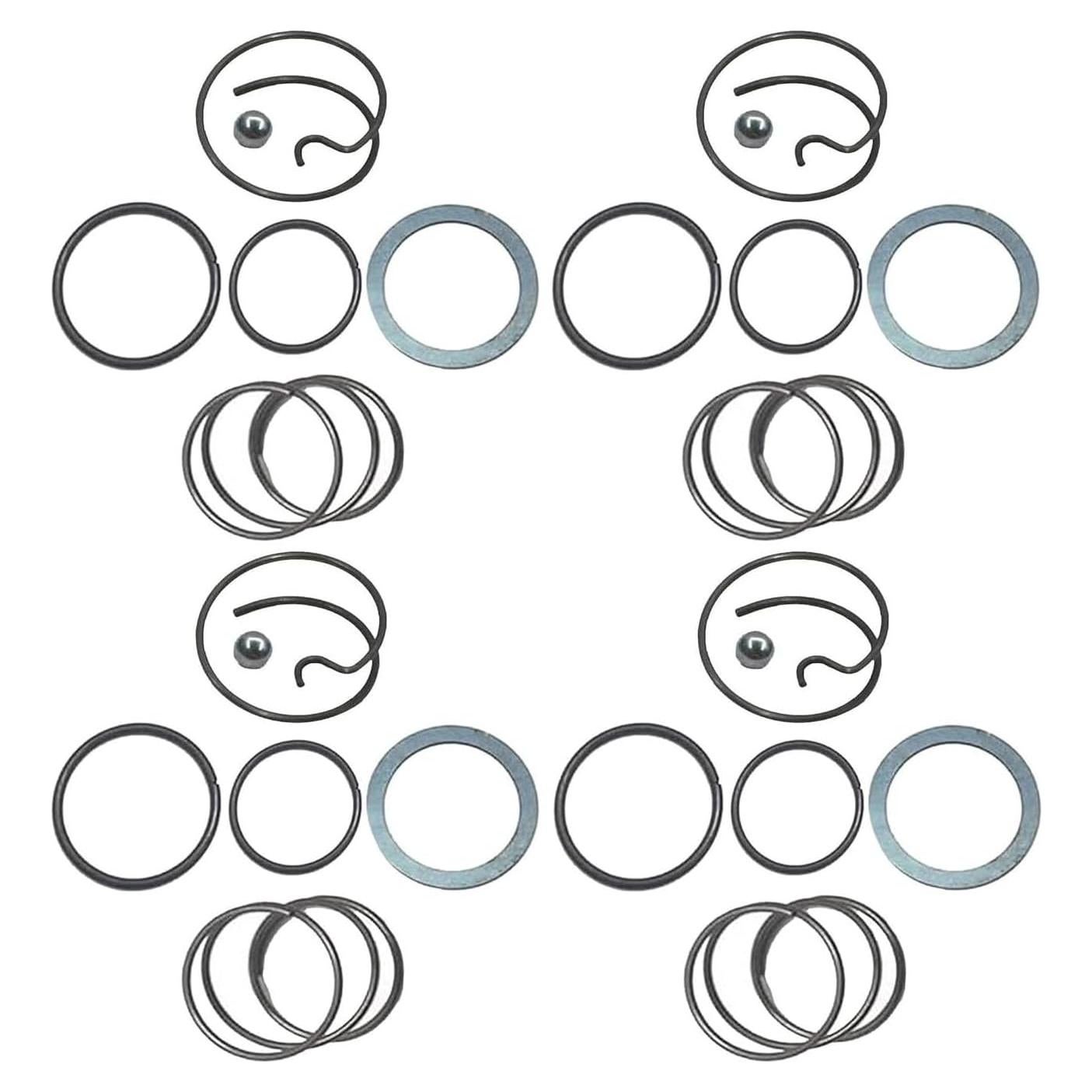 Kit de Resortes y Bolas de Acero Ruchang N078434 N089668