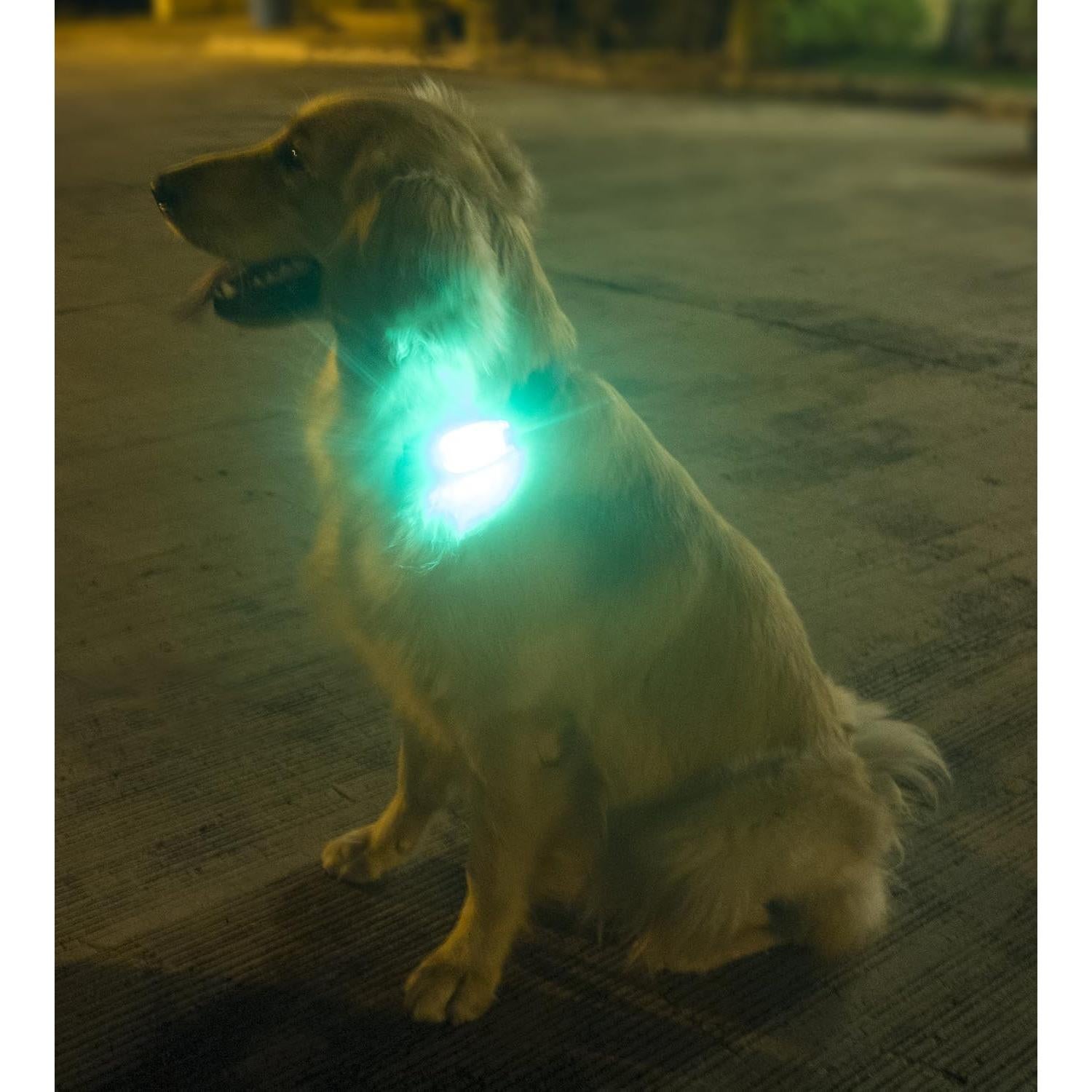 Luces de Seguridad LED Apace Vision Beaconbright - Paquete de 2