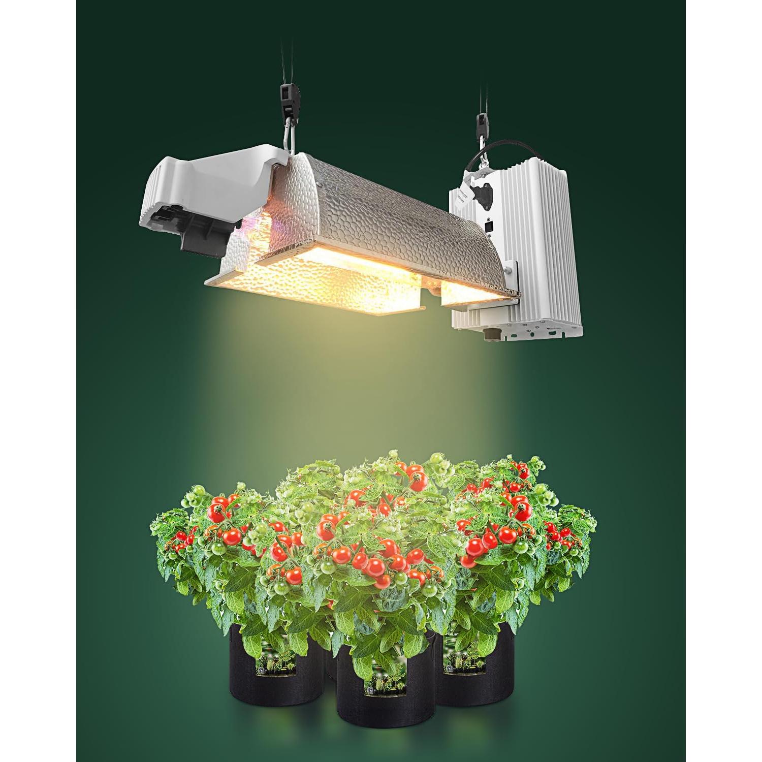 Paquete de 4 Soportes Ajustables STAYGROW para Amarre