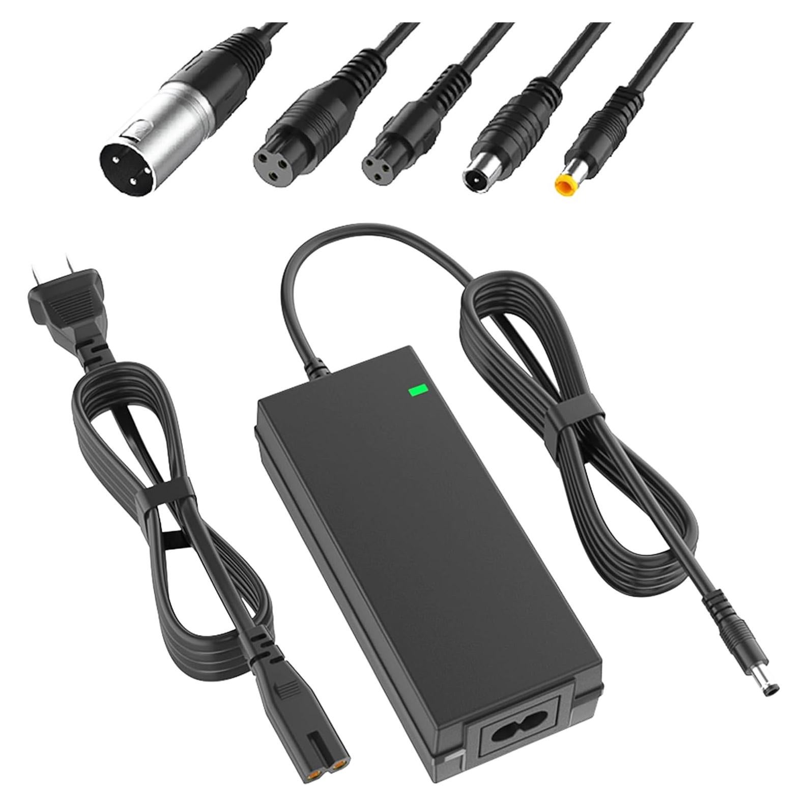 Cargador de Scooter 42V 2A con 6 Enchufes Compatibles