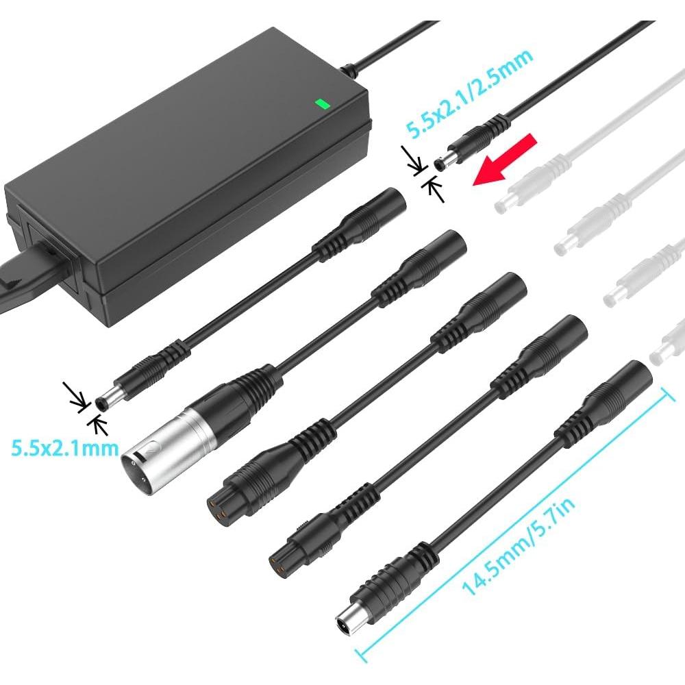 Cargador de Scooter 42V 2A con 6 Enchufes Compatibles