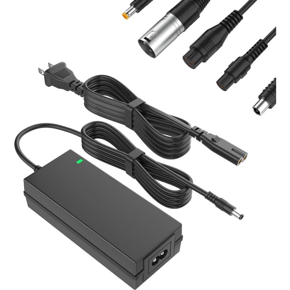 Cargador de Scooter 42V 2A con 6 Enchufes Compatibles