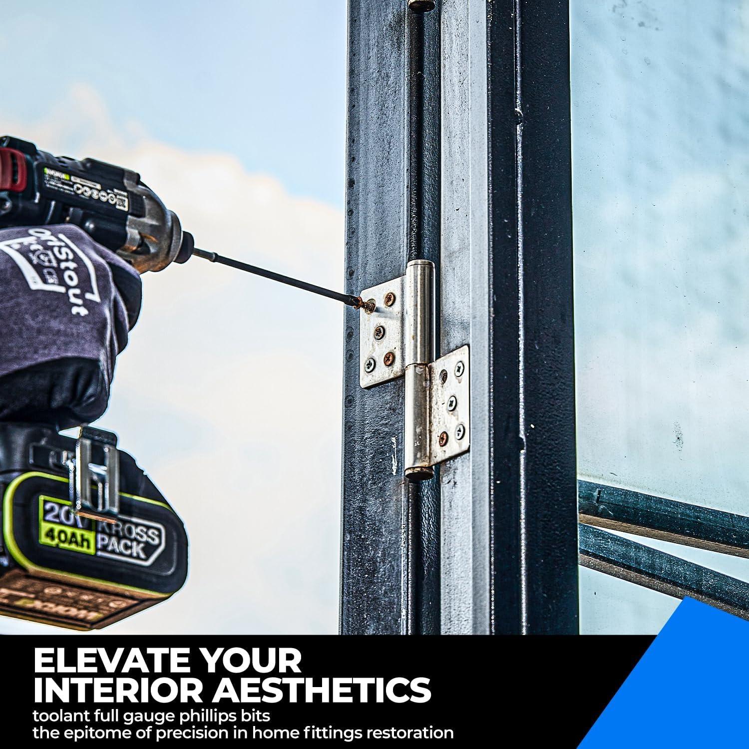 Juego de Puntas Destornillador Phillips #2 Toolant 45pcs