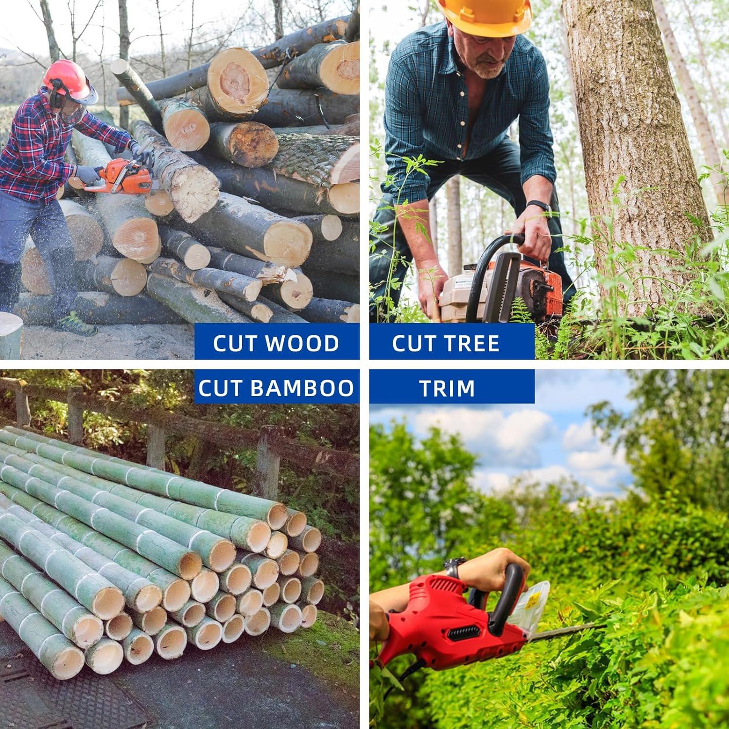 Guía de motosierra 14" + 3 cadenas Craftsman Echo Poulan