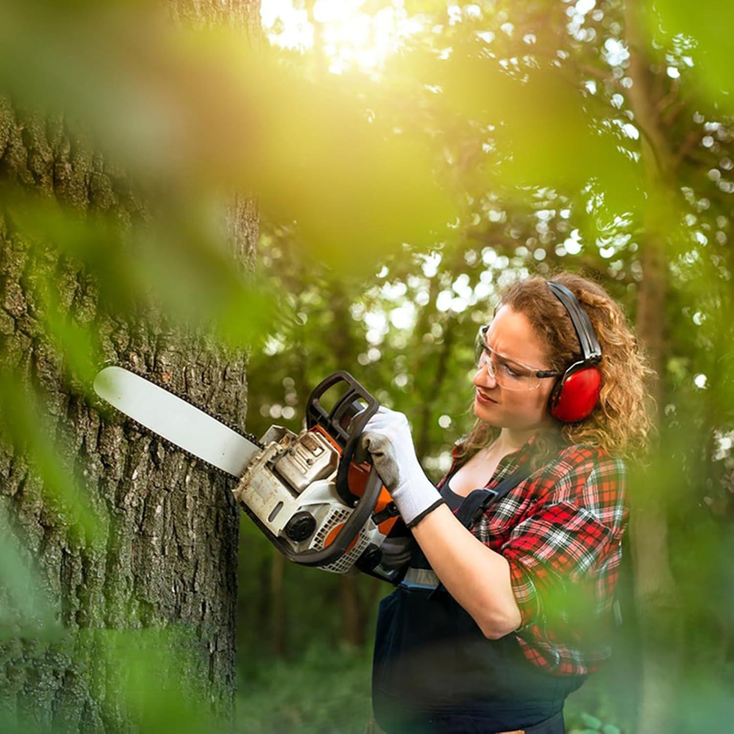 Guía de motosierra 14" + 3 cadenas Craftsman Echo Poulan